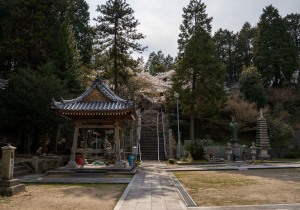 SBJ02821