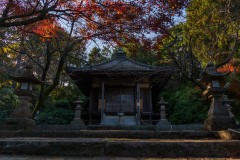DSC04599