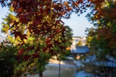 DSC04604