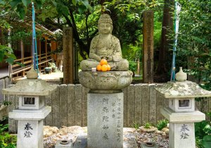 SBJ06520