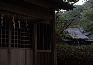 SBJ09234