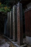 DSC05682