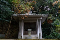 DSC05687