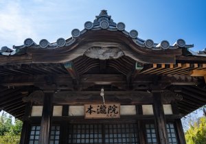 DSC08049