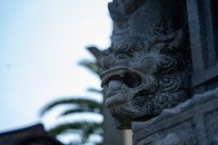 DSC07602