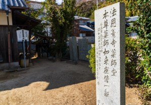 DSC06786