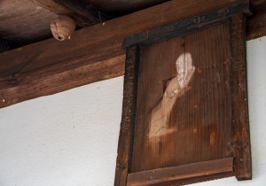 DSC06789
