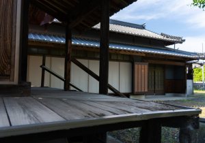DSC05541