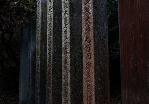 DSC05682