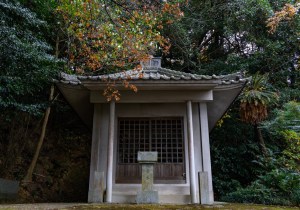 DSC05687