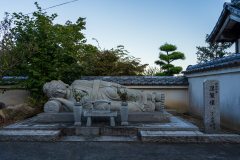DSC09489