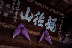 DSC09518