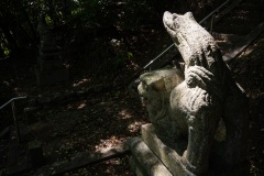 DSC04441