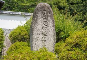 SBJ02264