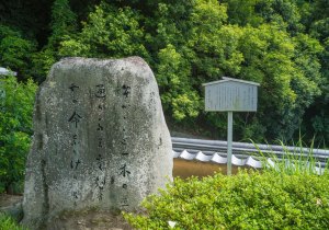 SBJ02309