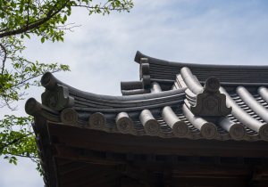 SBJ02314