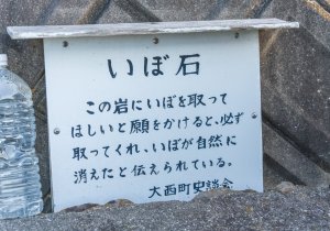 SBJ04508
