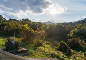 SBJ04511