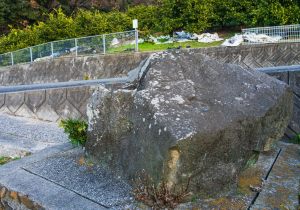 SBJ04519