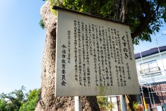 DSC07781
