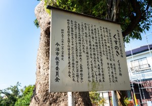 DSC07781