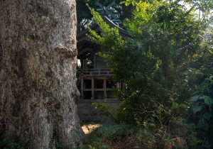 DSC07784