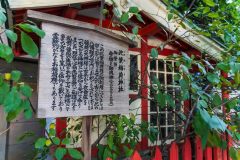 DSC02800