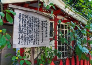 DSC02800