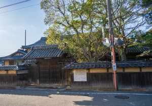 SBJ09882