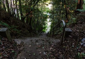 DSC07845