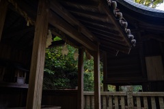 DSC07856