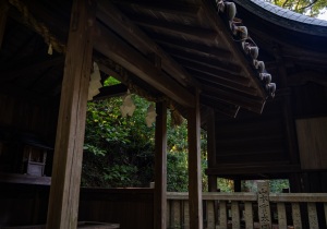 DSC07856