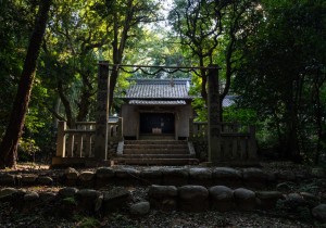 DSC07865