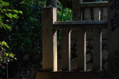 DSC07866