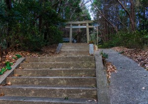 DSC06637