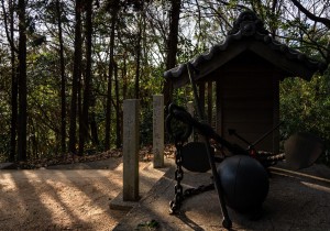 DSC06660