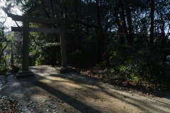 DSC06689