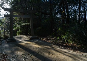 DSC06689
