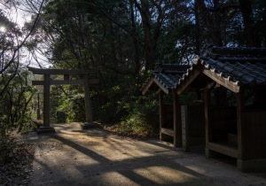 DSC06690