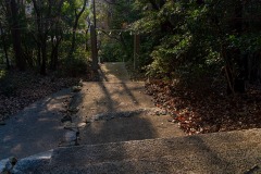 DSC06696