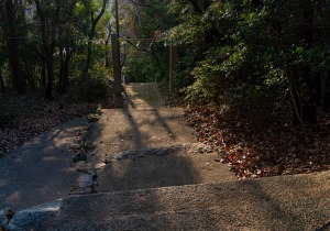 DSC06696