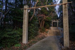 DSC06699