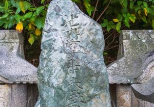 SBJ00251