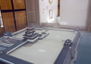 SBJ02453