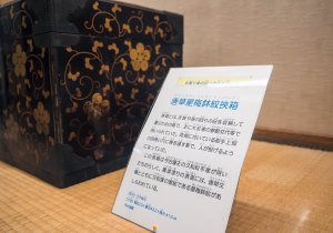 SBJ02458