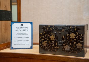 SBJ02461