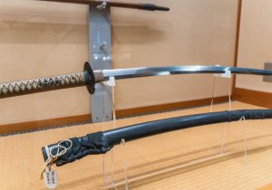 SBJ02472