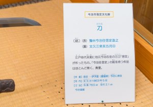 SBJ02474