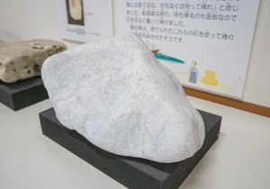 SBJ02479