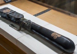SBJ02490